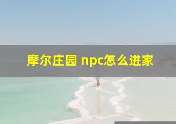 摩尔庄园 npc怎么进家